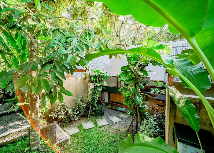 Lodge Jungle - Mawas By Wahm Ubud