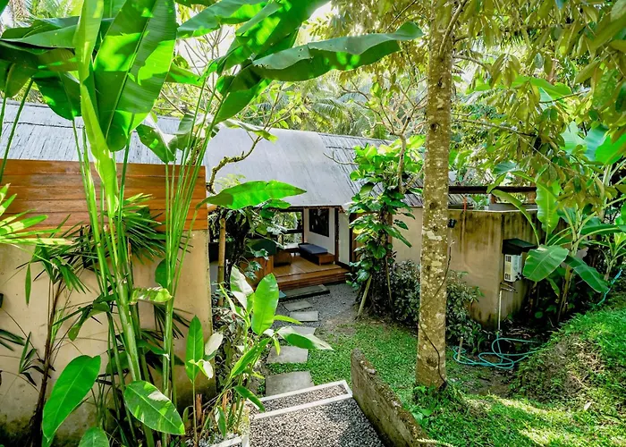 Lodge Jungle - Mawas By Wahm *