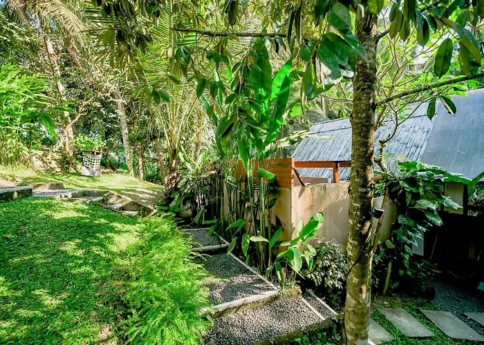 Jungle - Mawas By Wahm Lodge *