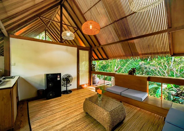 Lodge Jungle - Mawas By Wahm