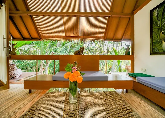 Lodge Jungle - Mawas By Wahm *
