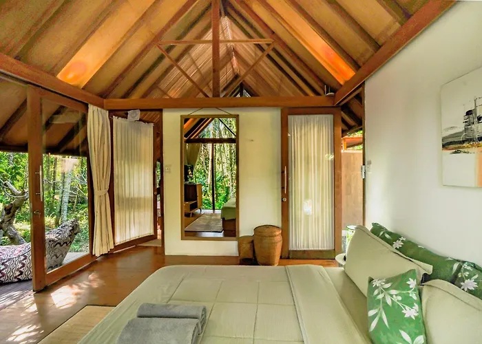Jungle - Mawas By Wahm Lodge
