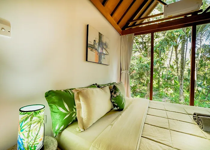 Lodge Jungle - Mawas By Wahm