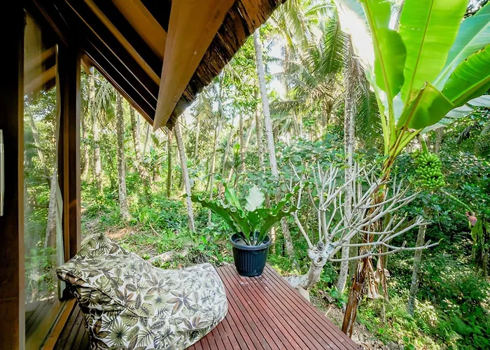 Lodge Jungle - Mawas By Wahm *