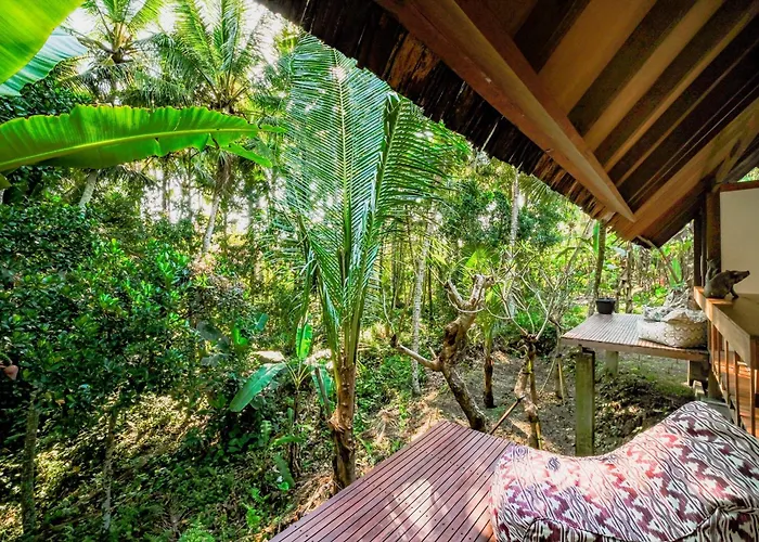 Lodge Jungle - Mawas By Wahm Ubud